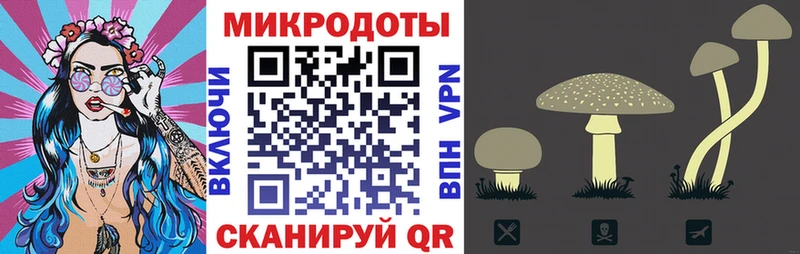 сколько стоит  Алатырь  Псилоцибиновые грибы MAGIC MUSHROOMS 
